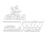 Giga-Twin